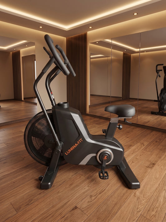 Bike Airdyne Linha Classic