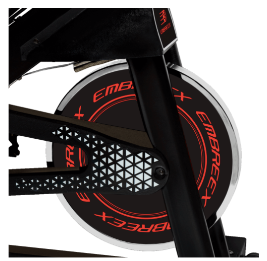 Bicicleta Profissional Spinning Embreex 343
