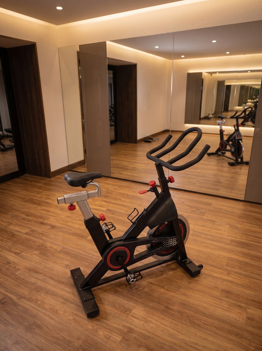 Bicicleta Profissional Spinning Embreex 343